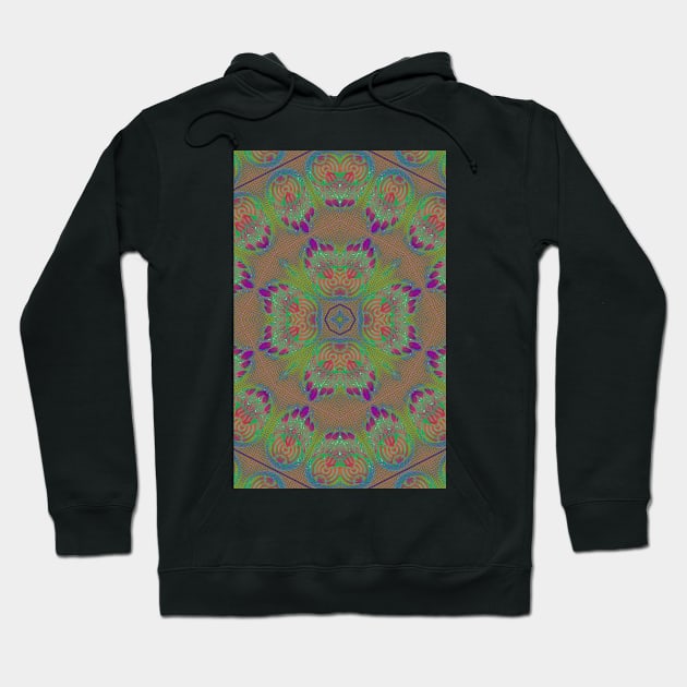 psychedelic dream catcher mandala Hoodie by indusdreaming